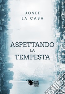 Aspettando la tempesta libro di La Casa Josef