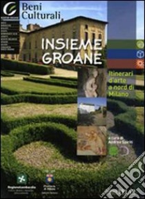 Insieme Groane. Itinerari d'arte a nord di Milano. Con CD-ROM libro di Spiriti A. (cur.)