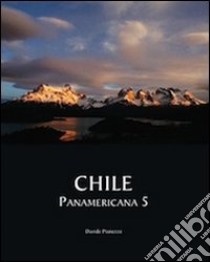 Chile. Panamericana 5 libro di Pianezze Davide