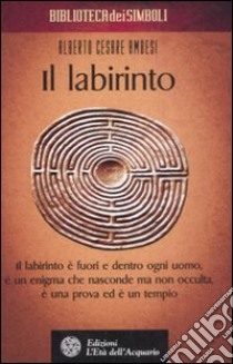 Il labirinto libro di Ambesi Alberto Cesare