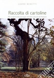 Raccolta di cartoline. Alla scoperta del paesaggio dei beni culturali del Polesine libro di Benetti Lauro