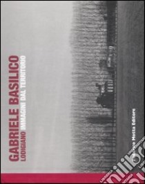 Lodigiano. Immagini dal territorio. Ediz. illustrata libro di Basilico Gabriele