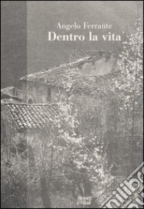 Dentro la vita libro di Ferrante Angelo