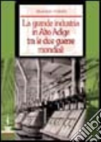 La grande industria in Alto Adige tra le due guerre mondiali libro di Visintin Maurizio