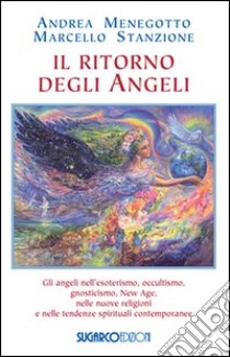 Il ritorno degli angeli libro di Menegotto Andrea; Stanzione Marcello