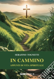 In cammino. Appunti di vita spirituale libro di Tognetti Serafino