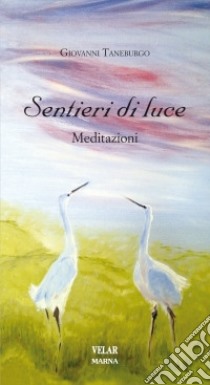 Sentieri di luce. Meditazioni libro di Taneburgo Giovanni