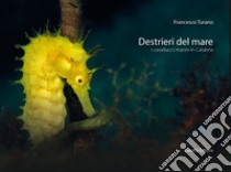 Destrieri del mare. I cavallucci marini in Calabria. Ediz. illustrata libro di Turano Francesco