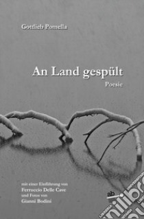 An land gespült libro di Gottlieb Pomella