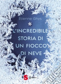 L'incredibile storia di un fiocco di neve. Ediz. a colori libro di Ghys Étienne