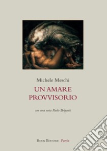 Un amare provvisorio libro di Meschi Michele