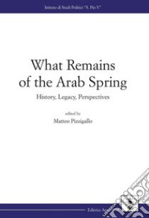 What remains of the Arab Spring. History, legacy, perspectives libro di Pizzigallo M. (cur.)