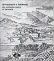 Monumenti e ambienti del territorio storico di Verbania libro di Spinelli Pino; Vincenti Antonello