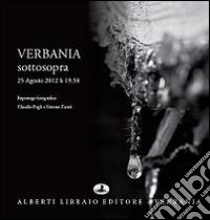 Verbania sottosopra. 25 agosto 2012. Ediz. illustrata libro