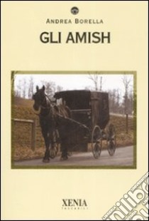 Gli Amish libro di Borella Andrea