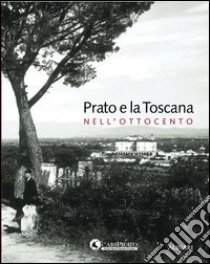 Prato e la Toscana nell'Ottocento. Ediz. illustrata libro di Breschi Danilo; Nigro Giampiero; Cordero Di Montezemolo Stefano; Ciuffoletti Z. (cur.)