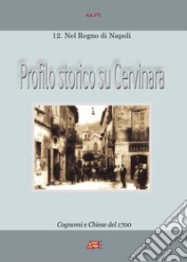 Profilo storico su Cervinara. Cognomi e Chiese del 1700 libro