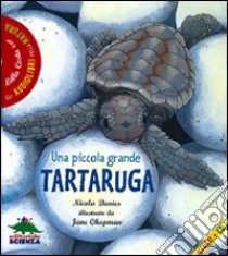 Una piccola grande tartaruga. Ediz. illustrata. Con CD Audio libro di Davies Nicola