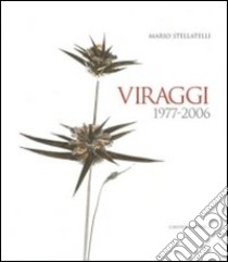 Viraggi 1997-2006. Ediz. illustrata libro di Stellatelli Mario