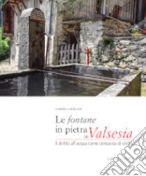 Le fontane in pietra in Valsesia. Il diritto dell'acqua come conquista di civiltà libro di Burlazzi Gabriella