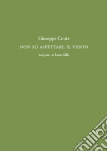 Non so fermare il vento libro di Conte Giuseppe