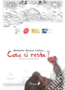 Cosa ci resta? Ambiente, cultura, territorio libro di Libero L. (cur.)