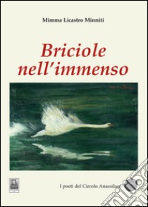 Briciole nell'immenso libro di Licastro Minniti Mimma