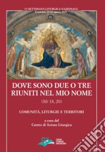 Dove sono due o tre riuniti nel mio nome (Mt 18, 20). Comunità, liturgie e territori libro di Centro azione liturgica (cur.)