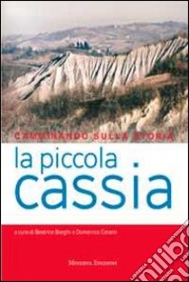 Camminando sulla storia. La piccola Cassia libro di Borghi B. (cur.); Cerami D. (cur.)