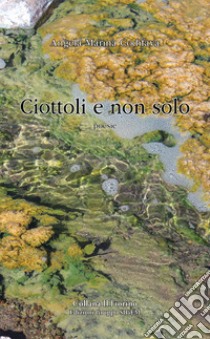 Ciottoli e non solo libro di Codifava Angela Marina