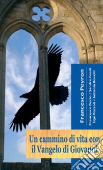 Un cammino di vita con il Vangelo di Giovanni libro di Peyron Francesco; Decio Francesco; Faedi Sandro