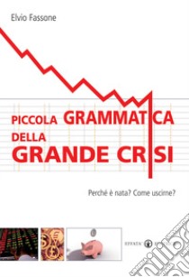 Piccola grammatica della grande crisi. Perchè è nata? Come uscirne? libro di Fassone Elvio