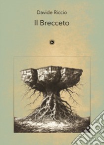 Il Brecceto. Poesie scritte ad Ariano Irpino e per la Campania tra il 1998 e il 2023 libro di Riccio Davide