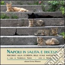 Napoli in salita e discesa. Percorso alla scoperta delle scale napoletane libro di Guida Gabriella