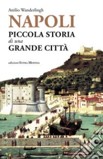 Napoli. Piccola storia di una grande città libro di Wanderlingh Attilio