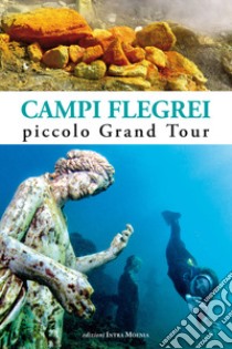 Campi Flegrei. Piccolo Grand Tour libro di Wanderlingh Attilio