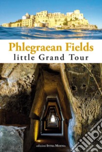 Phlegraean Fields. Little grand tour libro di Wanderlingh Attilio