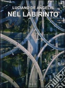 Nel labirinto libro di De Angelis Luciano