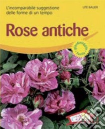 Rose antiche. L'incomparabile suggestione delle forme di un tempo. Ediz. illustrata libro di Bauer Ute