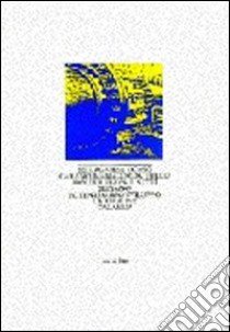 Metano, potenzialità e sviluppo. La regione Calabria libro di Bellagamba Piergiorgio; Corso Domenico; Garano Maurizio