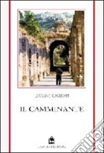 Il camminante libro di Caglioti Luciano