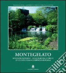 Montegelato-Mazzano Romano. Stratigrafia storica di un sito della campagna roma libro di Amendolea B. (cur.); Fedeli Bernardini F. (cur.)