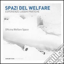 Spazi del welfare. Esperienze, luoghi, pratiche libro di Officina Welfare Space (cur.)