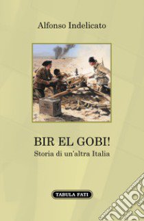 Bir el Gobi! Storia di un'altra Italia libro di Indelicato Alfonso