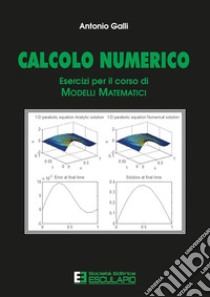 Calcolo numerico. Esercizi per il corso di modelli matematici libro di Galli Antonio