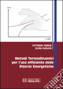 Metodi termodinamici per l'uso efficiente delle risorse energetiche libro di Verda Vittorio; Guelpa Elisa