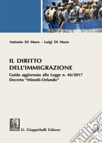 Il diritto dell'immigrazione. Guida aggiornata alla Legge n. 46/2017 decreto 