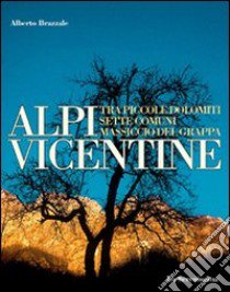 Alpi vicentine. Tra Piccole Dolomiti, Sette Comuni e Massiccio del Grappa. Ediz. illustrata libro di Brazzale Alberto