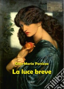 La luce breve libro di Panizza Gian Maria