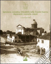 Spresiano, Lovadina, Visnadello nella grande guerra: documenti, memorie, caduti libro di Rigo A. (cur.)